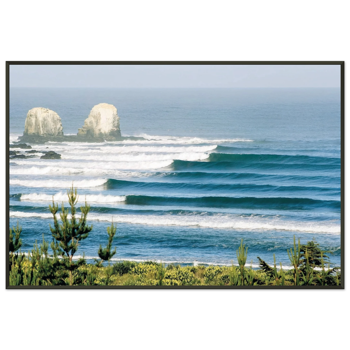 17b09b20-0713-4825-aac1-f728ec49c831