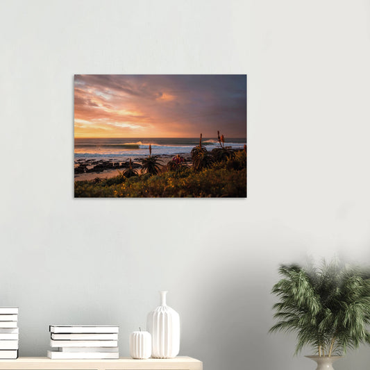 727424d2-46df-475d-9ae8-db4c4b4a8338