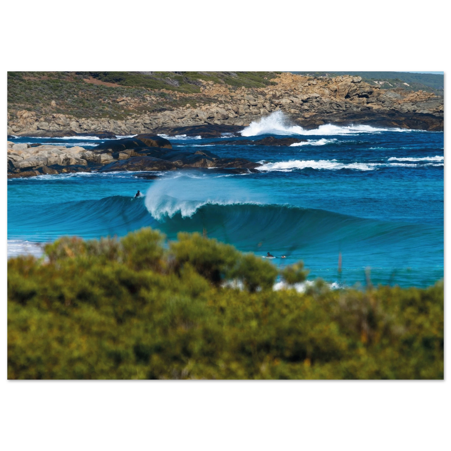 ec4a220d-7f05-492a-8d65-6de5fe28186c