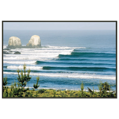 17b09b20-0713-4825-aac1-f728ec49c831