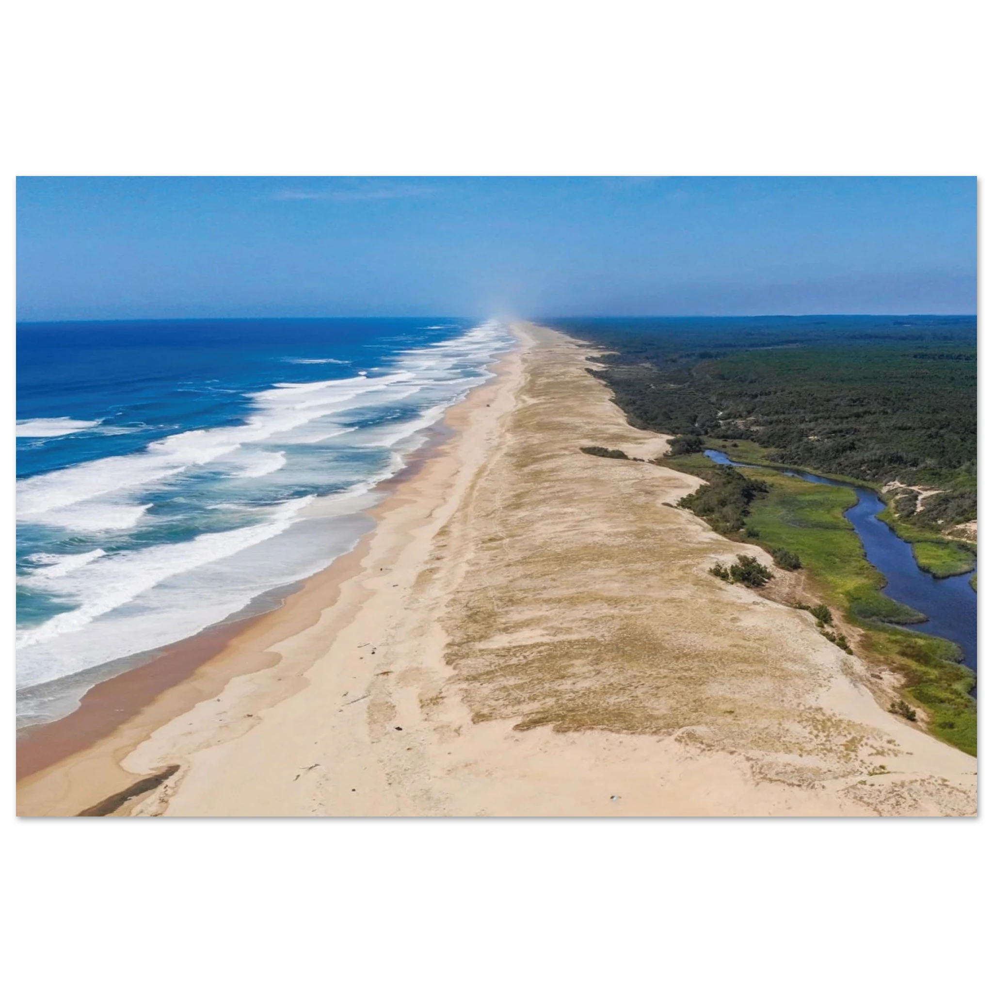 Moliets-et-Maa, Frankreich – Ruhiger Pinienwald-Strand in den Landes mit beständigem Atlantik-Swell für alle Levels. Kunstdruck auf Alu-Dibond.
